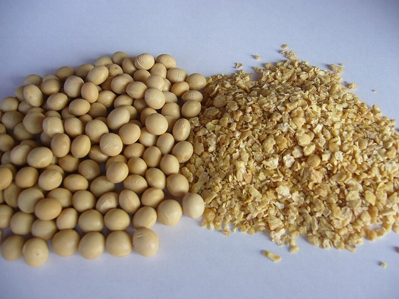 「丸大豆と脱脂加工大豆」の画像検索結果