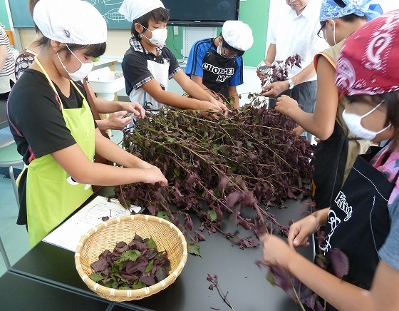 世界一の醤油をつくりたい　湯浅醤油有限会社　社長　新古敏朗のブログ-しそつめり