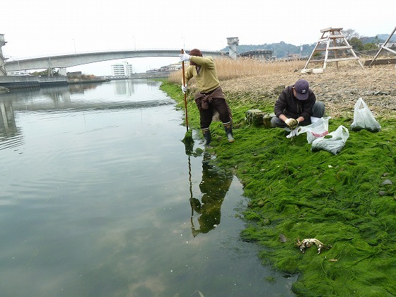 世界一の醤油をつくりたい　湯浅醤油有限会社　社長　新古敏朗のブログ-広川の海苔